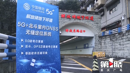 猫先生|猫先生MRCAT|官网首页